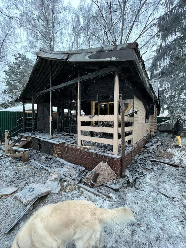 Портфолио слайд